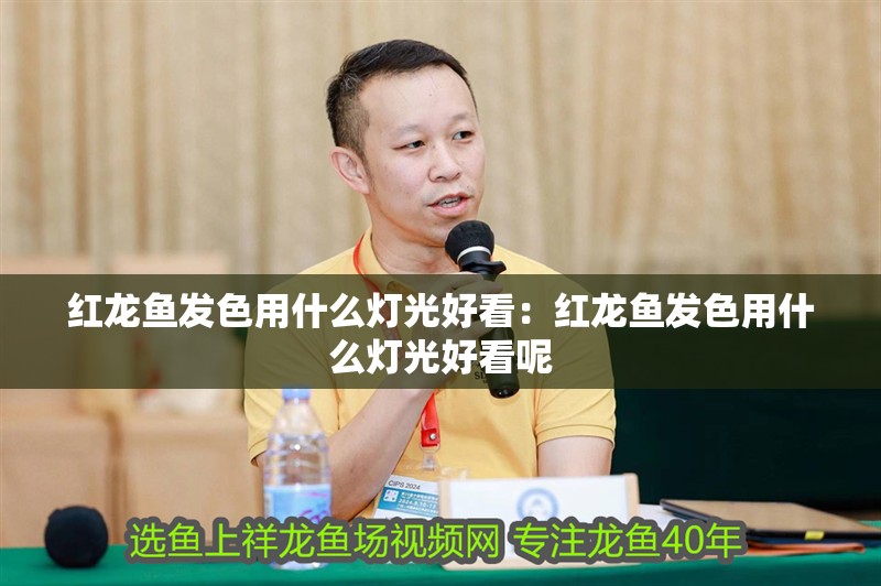 紅龍魚發(fā)色用什么燈光好看：紅龍魚發(fā)色用什么燈光好看呢