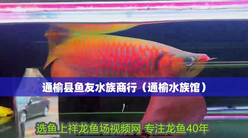 通榆縣魚友水族商行（通榆水族館）