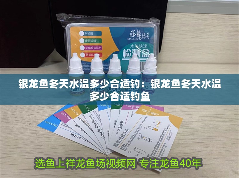 銀龍魚冬天水溫多少合適釣：銀龍魚冬天水溫多少合適釣魚