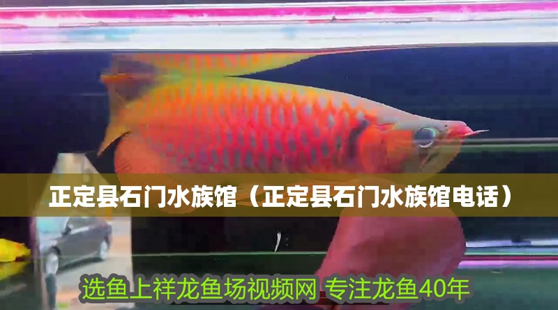 正定縣石門水族館（正定縣石門水族館電話）