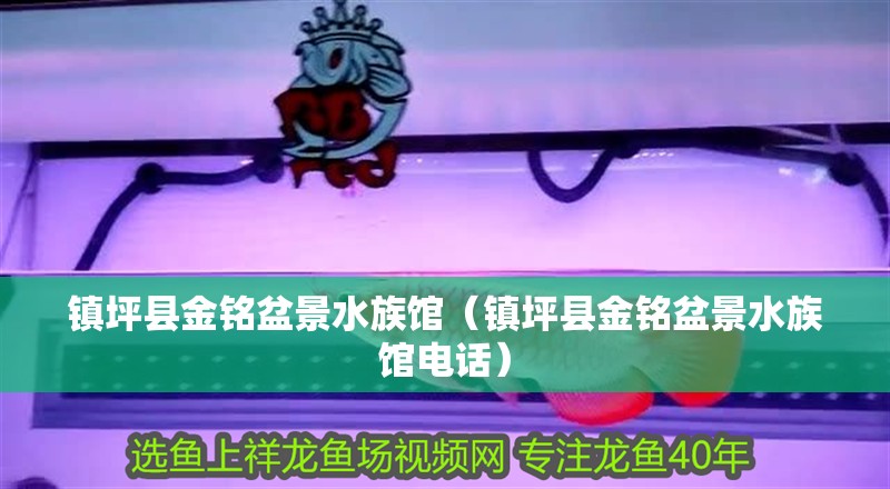 鎮坪縣金銘盆景水族館（鎮坪縣金銘盆景水族館電話）