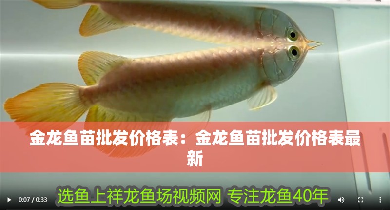 金龍魚苗批發(fā)價格表：金龍魚苗批發(fā)價格表最新