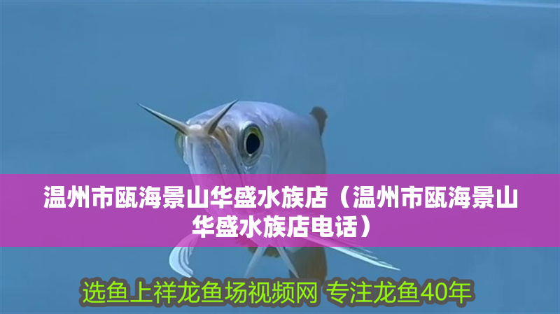 溫州市甌海景山華盛水族店（溫州市甌海景山華盛水族店電話）