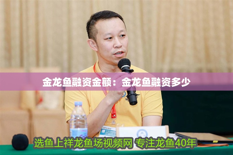 金龍魚融資金額：金龍魚融資多少