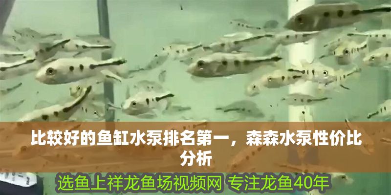 比較好的魚缸水泵排名第一，森森水泵性價比分析