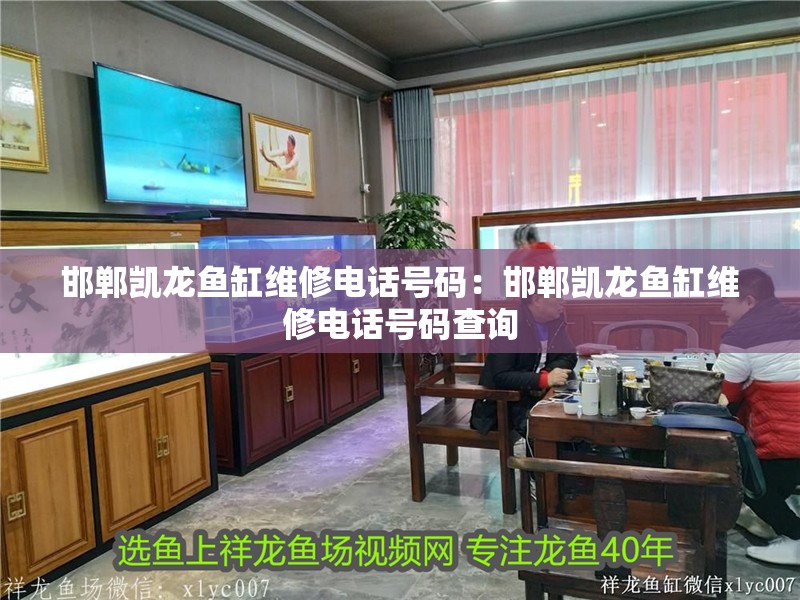 邯鄲凱龍魚缸維修電話號(hào)碼：邯鄲凱龍魚缸維修電話號(hào)碼查詢