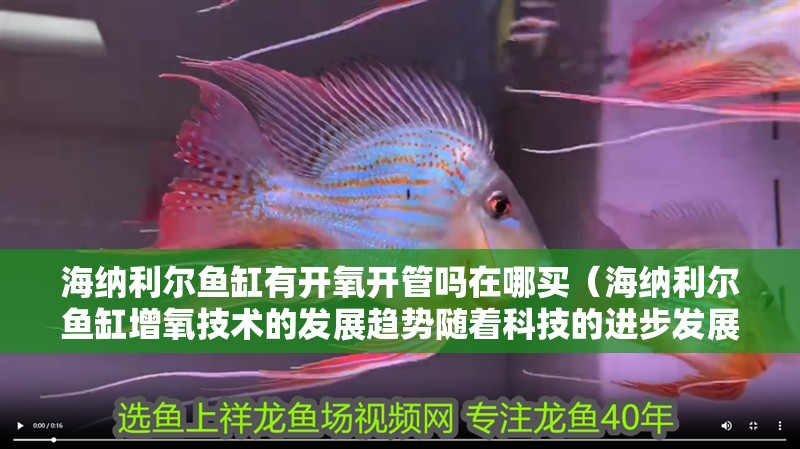 海納利爾魚缸有開氧開管嗎在哪買（海納利爾魚缸增氧技術的發展趨勢隨著科技的進步發展）
