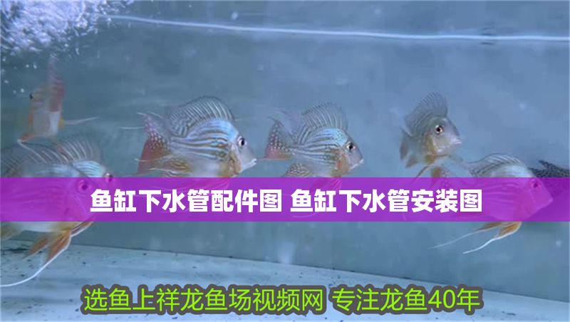 魚缸下水管配件圖 魚缸下水管安裝圖