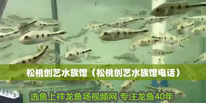 松桃創藝水族館（松桃創藝水族館電話） 松桃創藝水族館（松桃創藝水族館電話） 全國水族館企業名錄 第2張
