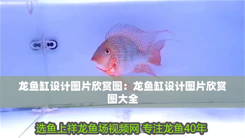 龍魚缸設計圖片欣賞圖：龍魚缸設計圖片欣賞圖大全