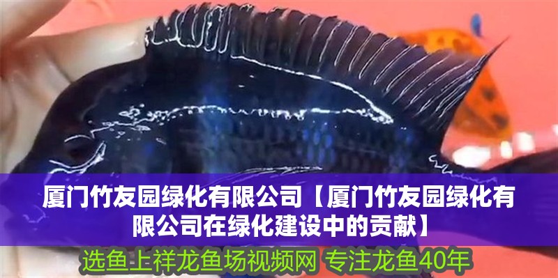 廈門竹友園綠化有限公司【廈門竹友園綠化有限公司在綠化建設(shè)中的貢獻(xiàn)】