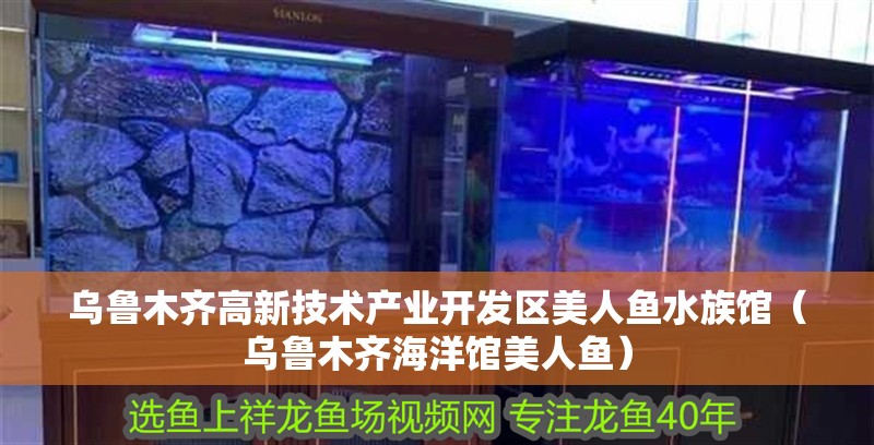 烏魯木齊高新技術產業開發區美人魚水族館（烏魯木齊海洋館美人魚）