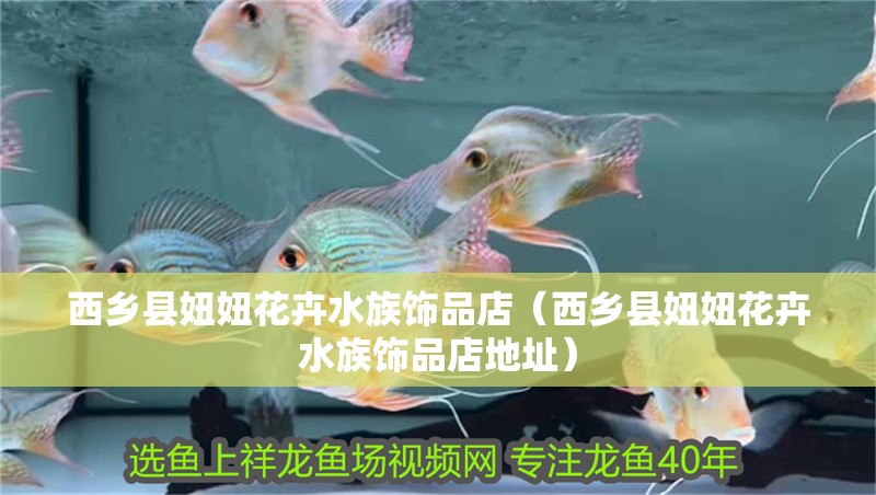 西鄉縣妞妞花卉水族飾品店（西鄉縣妞妞花卉水族飾品店地址）