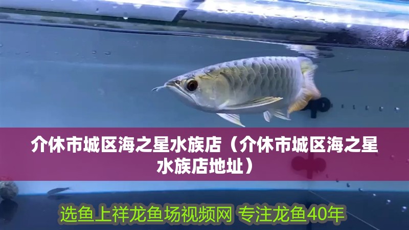 介休市城區海之星水族店（介休市城區海之星水族店地址）