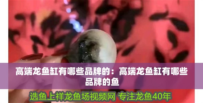 高端龍魚缸有哪些品牌的：高端龍魚缸有哪些品牌的魚