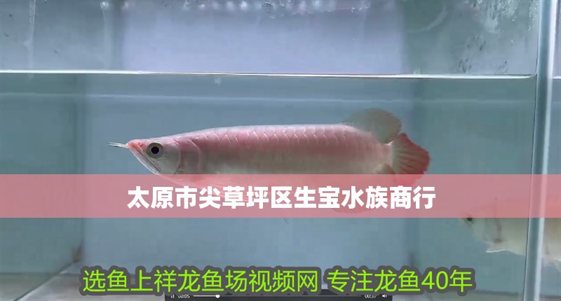 太原市尖草坪區生寶水族商行