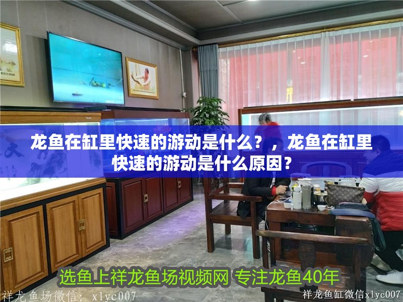 龍魚在缸里快速的游動是什么？，龍魚在缸里快速的游動是什么原因？