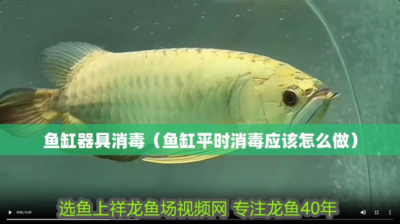 魚缸器具消毒（魚缸平時消毒應該怎么做）