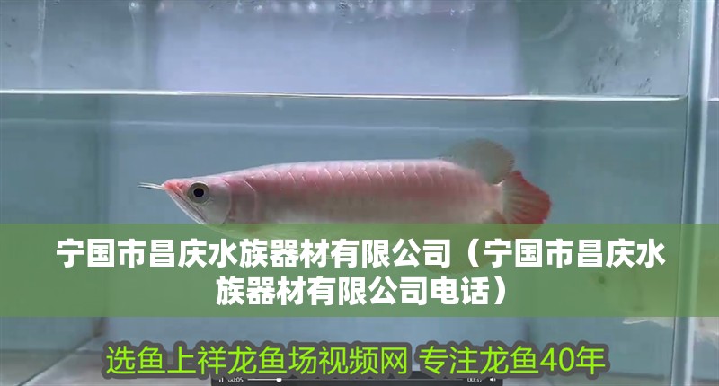 寧國市昌慶水族器材有限公司（寧國市昌慶水族器材有限公司電話）