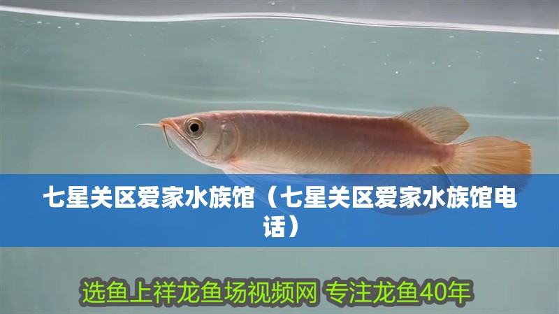 七星關區愛家水族館（七星關區愛家水族館電話）