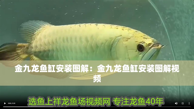 金九龍魚缸安裝圖解：金九龍魚缸安裝圖解視頻