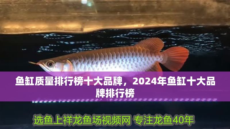魚缸質量排行榜十大品牌，2024年魚缸十大品牌排行榜