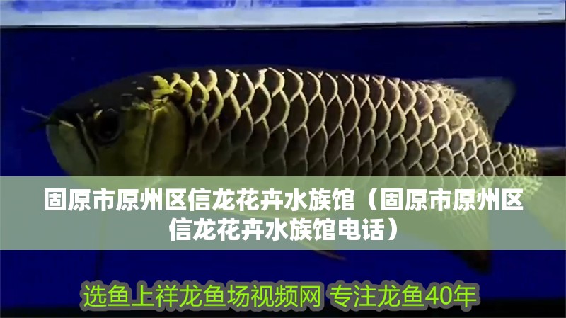 固原市原州區信龍花卉水族館（固原市原州區信龍花卉水族館電話）