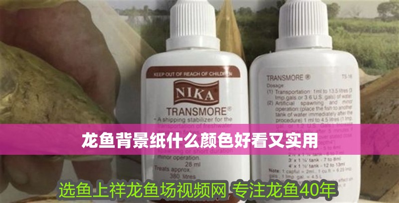 龍魚背景紙什么顏色好看又實(shí)用