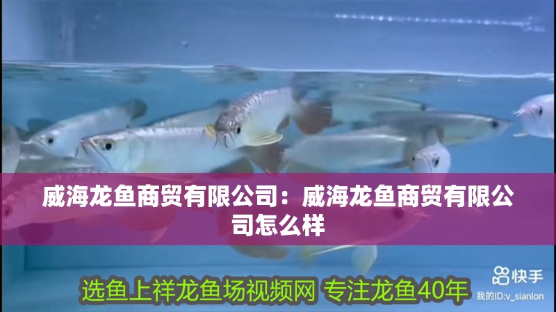 威海龍魚商貿(mào)有限公司：威海龍魚商貿(mào)有限公司怎么樣