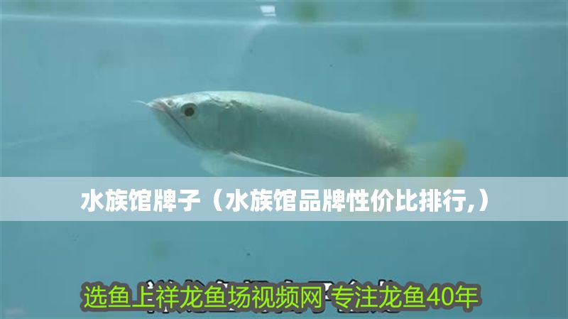 水族館牌子（水族館品牌性價(jià)比排行,）