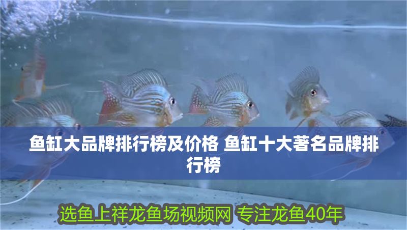 魚缸大品牌排行榜及價(jià)格 魚缸十大著名品牌排行榜