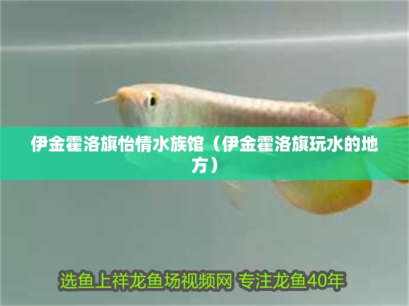 銀龍魚苗一個(gè)月能長(zhǎng)多大啊視頻教程(銀龍魚養(yǎng)多久才長(zhǎng)到50cm)