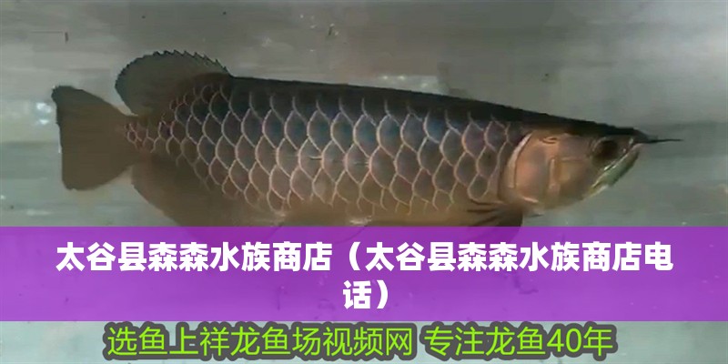 太谷縣森森水族商店（太谷縣森森水族商店電話）