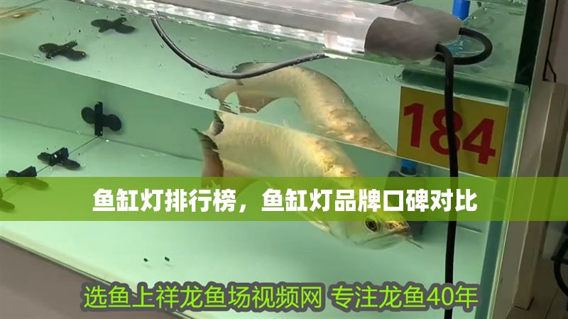 魚缸燈排行榜，魚缸燈品牌口碑對(duì)比