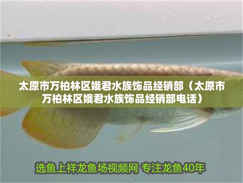 太原市萬柏林區(qū)娥君水族飾品經(jīng)銷部（太原市萬柏林區(qū)娥君水族飾品經(jīng)銷部電話）