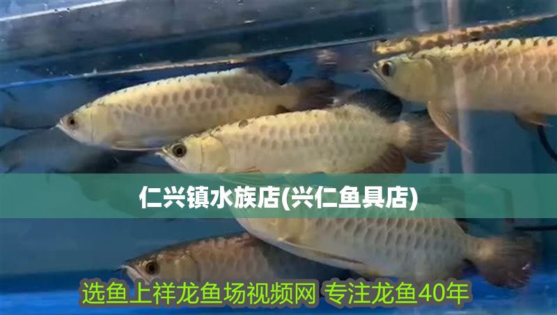 仁興鎮水族店(興仁魚具店)