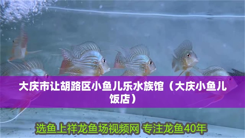 大慶市讓胡路區小魚兒樂水族館（大慶小魚兒飯店）