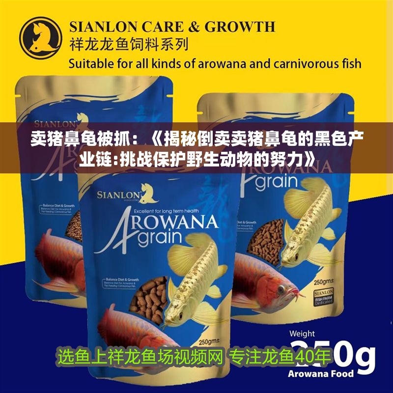 賣豬鼻龜被抓：《揭秘倒賣賣豬鼻龜的黑色產業鏈:挑戰保護野生動物的努力》