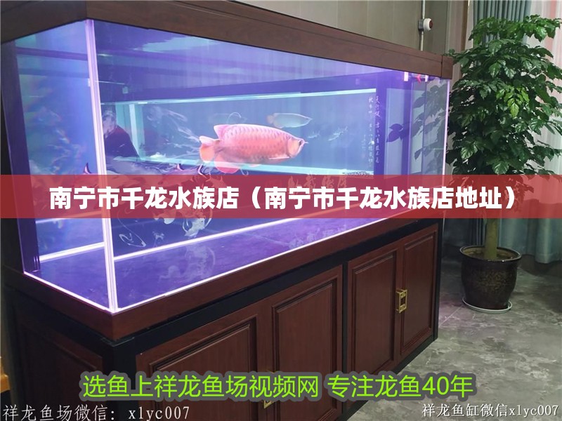 南寧市千龍水族店（南寧市千龍水族店地址）