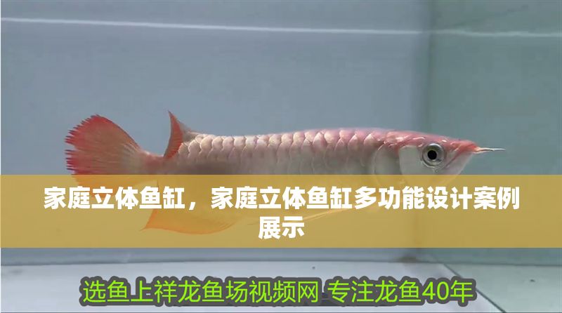 家庭立體魚缸，家庭立體魚缸多功能設計案例展示