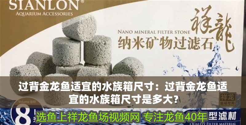 過背金龍魚適宜的水族箱尺寸：過背金龍魚適宜的水族箱尺寸是多大？
