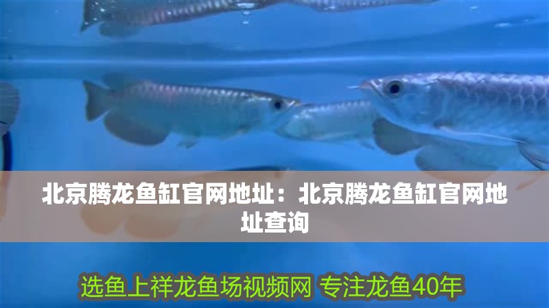 北京騰龍魚缸官網地址：北京騰龍魚缸官網地址查詢