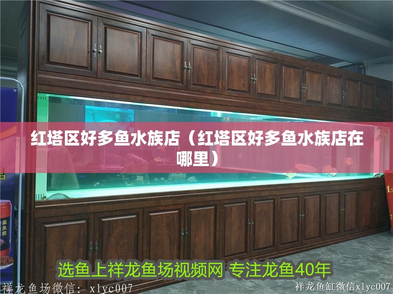 紅塔區(qū)好多魚水族店（紅塔區(qū)好多魚水族店在哪里）