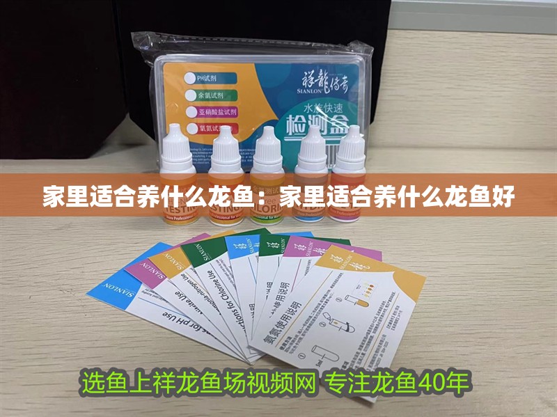 家里適合養(yǎng)什么龍魚(yú)：家里適合養(yǎng)什么龍魚(yú)好