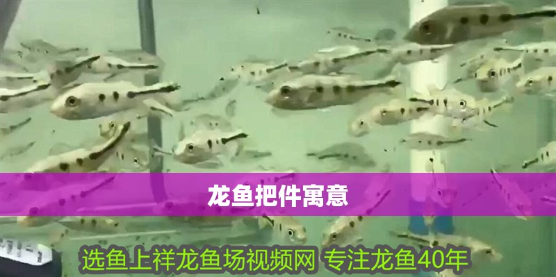龍魚把件寓意 龍魚把件寓意 龍魚百科 第2張