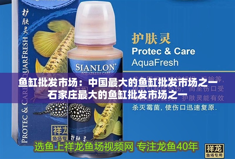 魚缸批發市場：中國最大的魚缸批發市場之一石家莊最大的魚缸批發市場之一