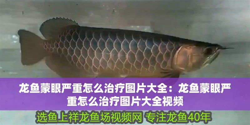 龍魚蒙眼嚴重怎么治療圖片大全：龍魚蒙眼嚴重怎么治療圖片大全視頻