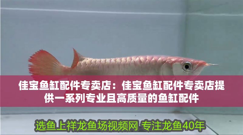 佳寶魚缸配件專賣店：佳寶魚缸配件專賣店提供一系列專業且高質量的魚缸配件
