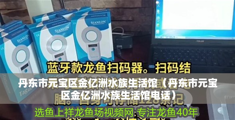丹東市元寶區金億洲水族生活館（丹東市元寶區金億洲水族生活館電話）