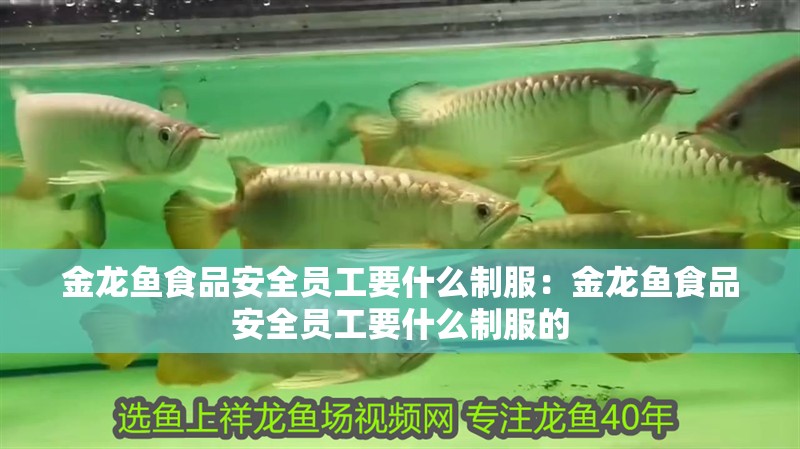 金龍魚食品安全員工要什么制服：金龍魚食品安全員工要什么制服的
